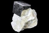 Shiny, Natural Pyrite Cube In Rock - Navajun, Spain #131112-1